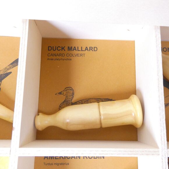 Bird Calls Set of 6 Western American Birds  Vol 2 Quelle Est Belle France 2006 - Picture 5 of 11